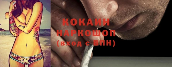 сатива Волоколамск
