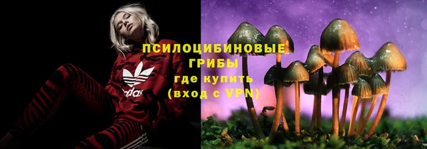 соль ск Володарск
