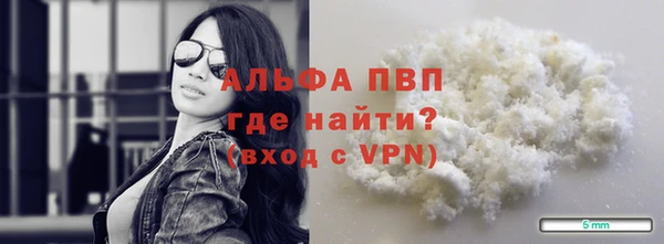 сатива Волоколамск
