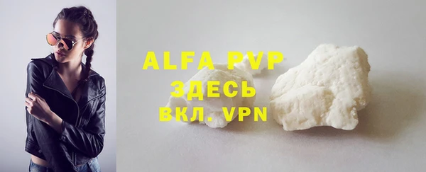 сатива Волоколамск