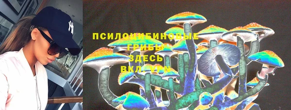 ALPHA-PVP Вяземский